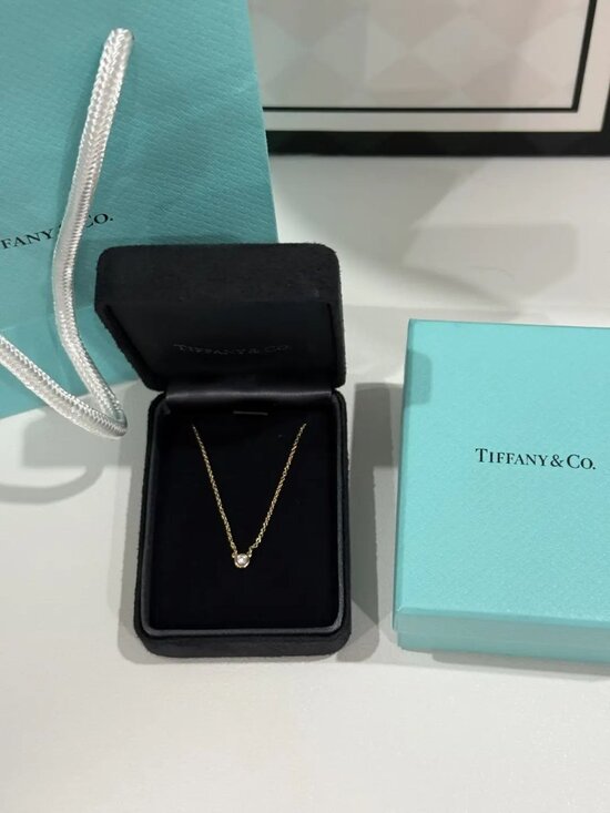 Tiffany&Co. Tiffany Elsa Peretti ®Diamonds by the Yard necklace for women